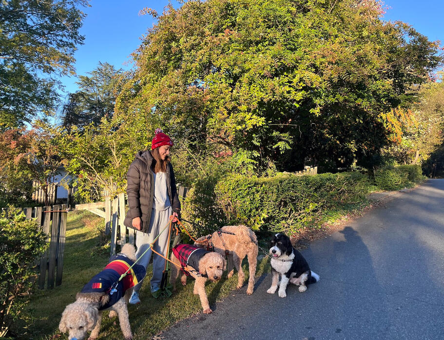 Izzy's Dog Care, Fall 2024